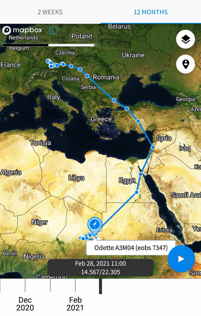 dinostavern tweet media