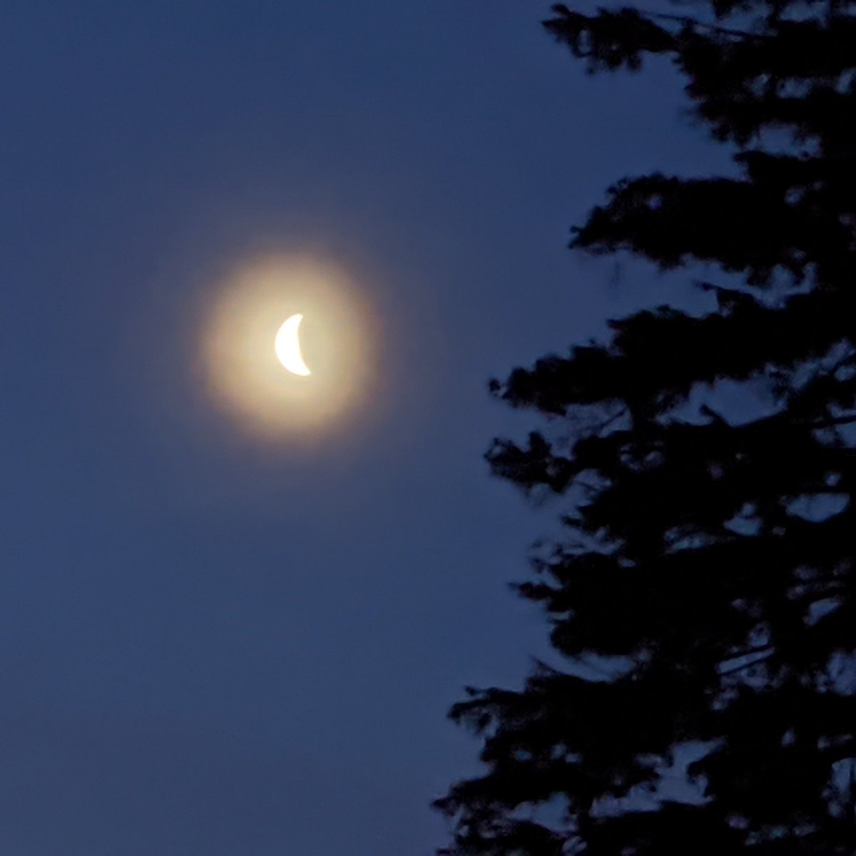 troydcarson's tweet image. 065