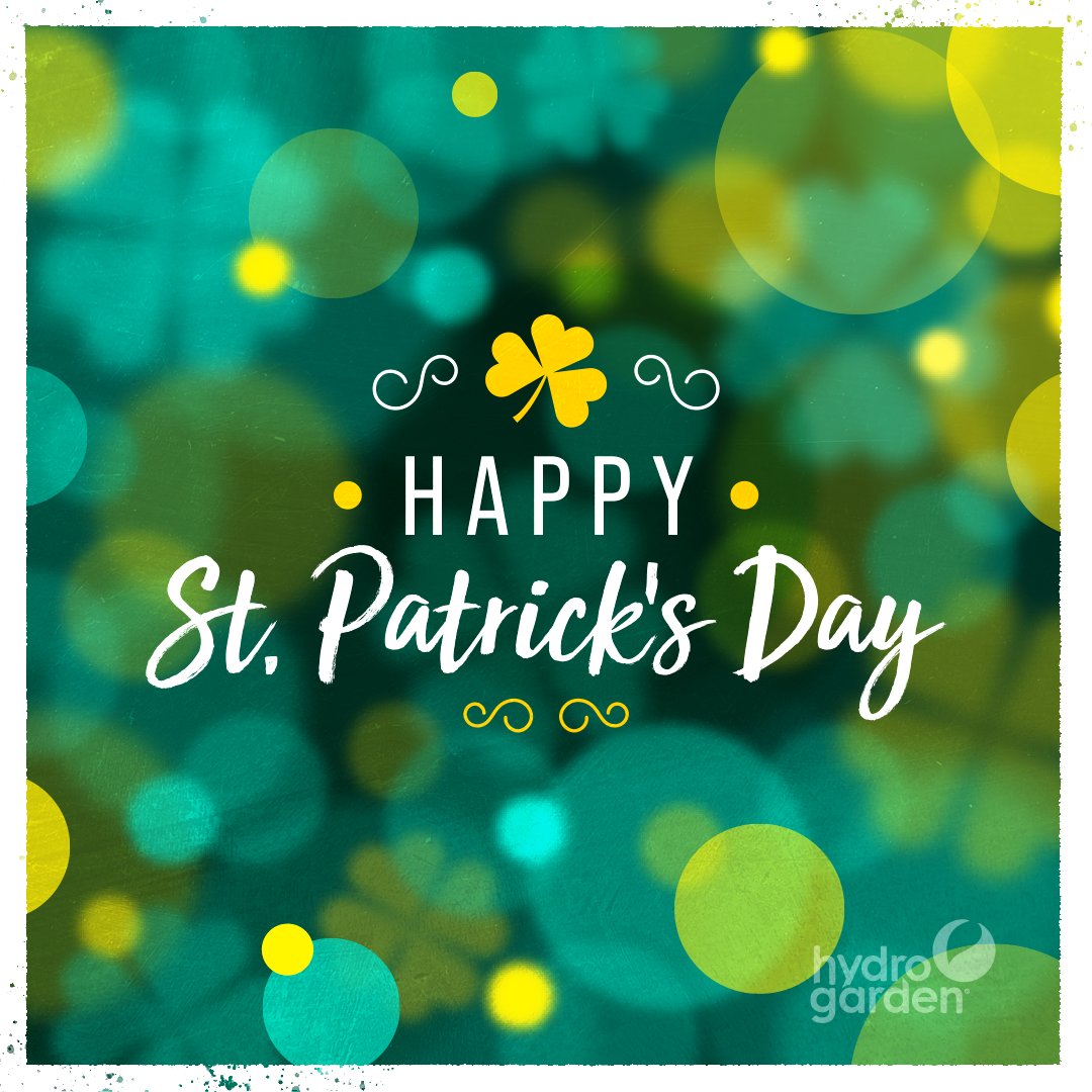 Happy St. Patrick's Day from everyone here at HydroGarden! 🍀 #StPatricksDay
