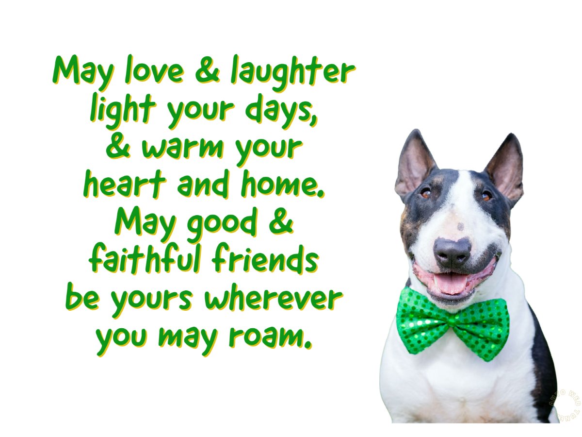 CollexAutoBody's tweet photo. May the luck of the Irish always be with you! 
Collex Collision https://t.co/Q0xuMtQ13l
#CollexCollision️ #StPatricksDay #LuckOfTheIrish https://t.co/DQr6Pn0ZB6