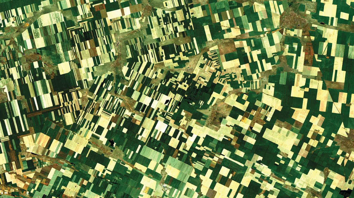 Want to embrace #DigitalAgriculture without cost/technical barriers? <a href="/FieldySpace/">fieldy</a> offers smallholder satellite monitoring without cost, limit or catch. >100,000 fields already registered <a href="/Mari_Pangestu/">Mari Elka Pangestu</a> @WBG_Agriculture  fieldy.space