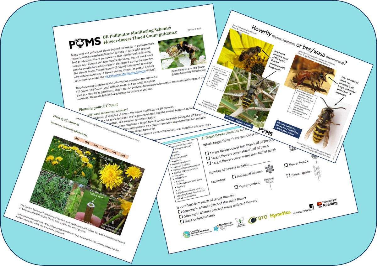 PoMScheme's tweet photo. 2/3 FIT Counts can be done from 1 Apr onwards as long as it is at least 13°C with blue sky/sun, or 15°C if cloudy. Recording forms and identification guides can be found on the website. https://t.co/AtS7UTQT1L