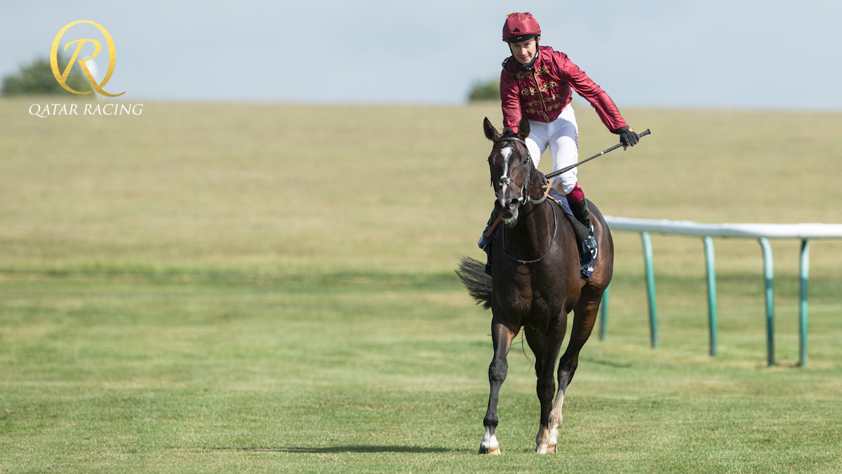#ThrowbackThursday 

🐢 KAMEKO wins the 2⃣0⃣2⃣0⃣ QIPCO 2000 Guineas <a href="/NewmarketRace/">Newmarket Racecourse</a> 

Ridden by <a href="/oismurphy/">Oisín Murphy</a> &amp; trained by <a href="/AndrewBalding2/">Andrew Balding</a>