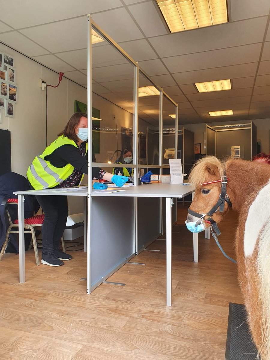 Liveblog: Pony geweigerd bij stembureau Kinderboerderij De Werf in Watergraafsmeer

at5.nl/artikelen/2079…