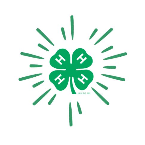 Ohio 4-H tweet media