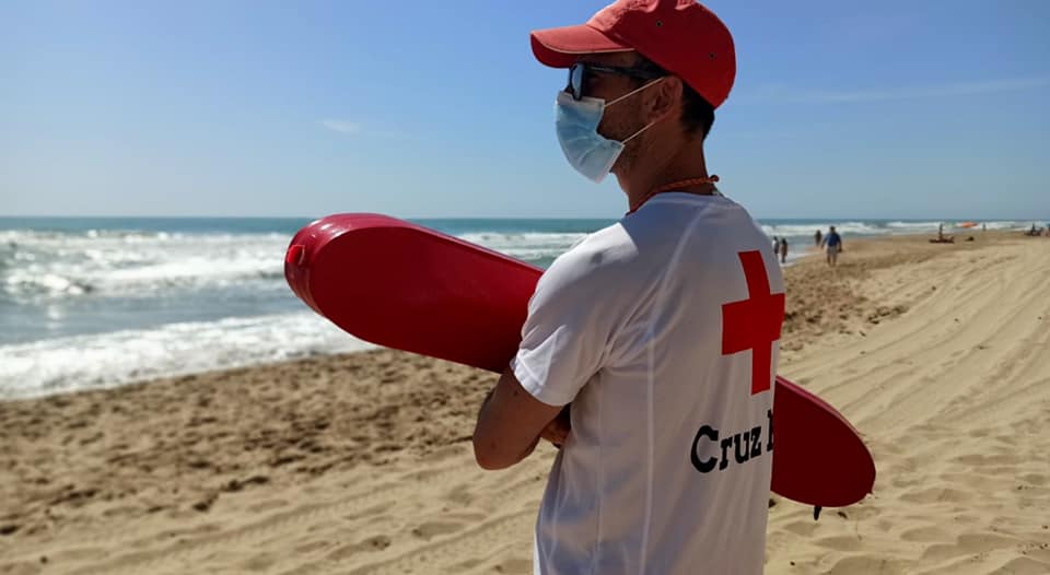 Cruz Roja en Alicante tweet media