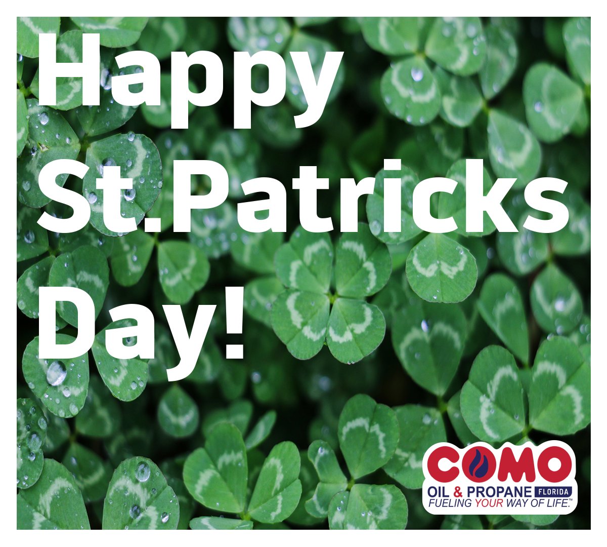 Happy St.Patricks Day from our Family to yours!
