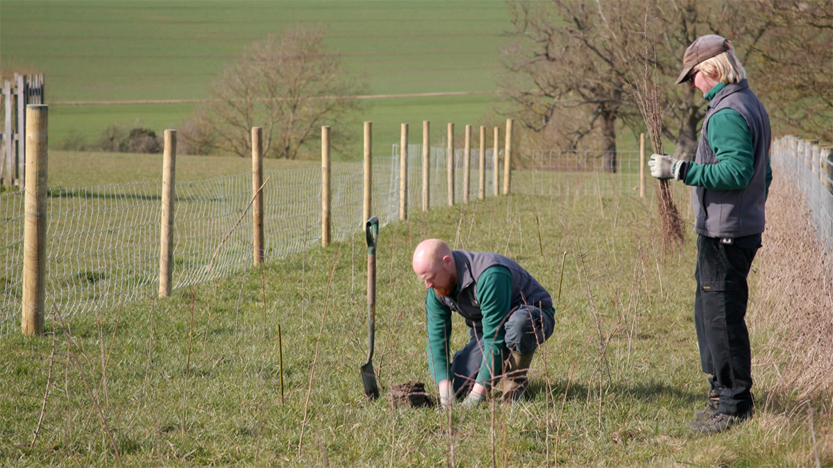 ComptonVerney's tweet photo. For this weeks edition of #LoveComptonVerney, we're joining  our Grounds Team at the top of our East Park as they plant a new hedge which will provide a safe haven for wildlife.
👀 Watch now👉 https://t.co/3whHhNpZS0

#HedgePlanting #CVGrounds #Wildlife #DiscoverYourDoorstep https://t.co/IEAhmWTiA2