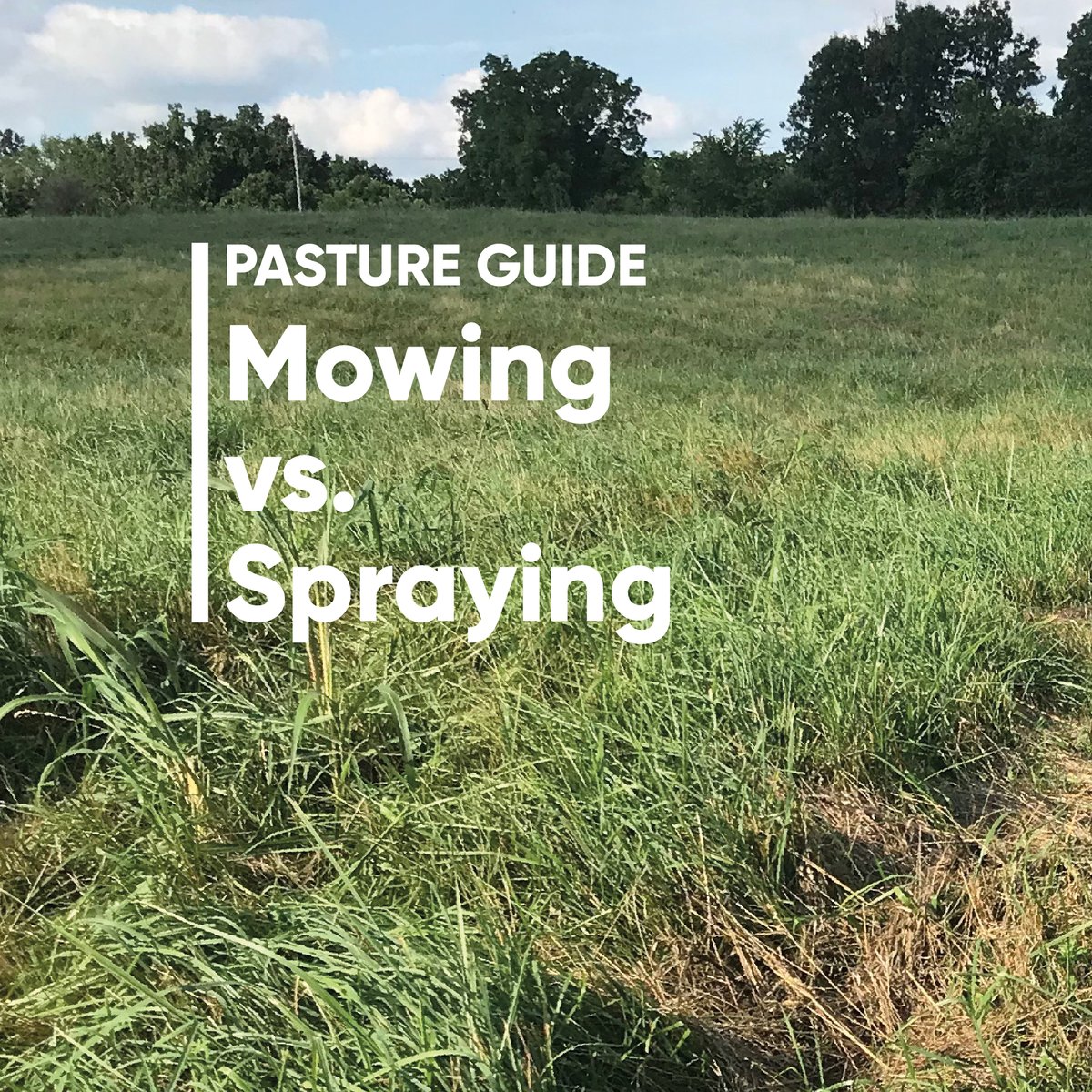 CortevaPastures's tweet photo. Are you looking to control weeds and grow grass? Keep the mower in the garage this spring and fire up your sprayer! Read how mechanical control can cost you much more down the road.