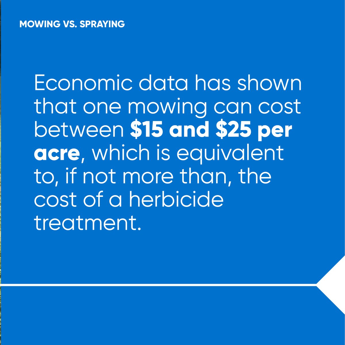 CortevaPastures's tweet photo. Are you looking to control weeds and grow grass? Keep the mower in the garage this spring and fire up your sprayer! Read how mechanical control can cost you much more down the road.
