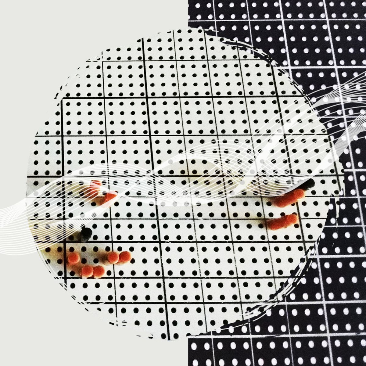 WaldoKanto's tweet image. #NowPlaying EMS #Synthi 100
• Köhn - Modulisme Session 037
modulisme.bandcamp.com/album/modulism…
• Paul Pignon Modulisme Session 039
modulisme.bandcamp.com/album/modulism…