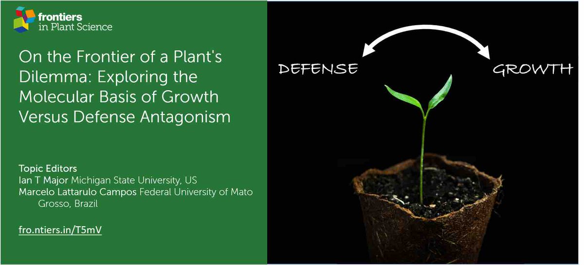 Fellow scientists: Dr. Ian Major and I are organizing a special issue <a href="/FrontPlantSci/">Frontiers - Plant Science</a> focused on the molecular aspects of the growth x defense dilemma in plants🌿. We are open to discuss potential ms. submissions! More info: fro.ntiers.in/T5mV.
And please, spread the news 😬!