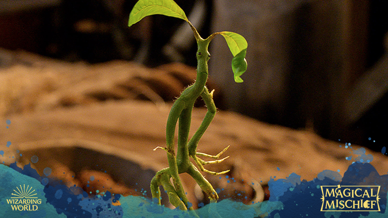FantasticBeasts's tweet photo. A handy magical creature to have near when e̶v̶a̶d̶i̶n̶g̶ ̶M̶A̶C̶U̶S̶A̶ forgetting your keys. #MagicalMischief https://t.co/j4cqb0ANGh