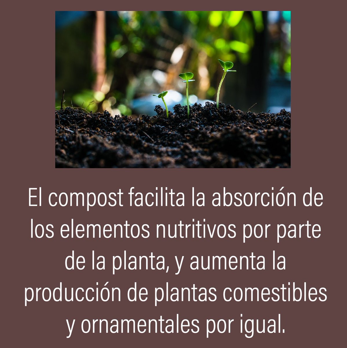 AckadiaLife's tweet photo. "La materia ni se crea ni se destruye, solo se transforma" https://t.co/2ovdyyeMpy