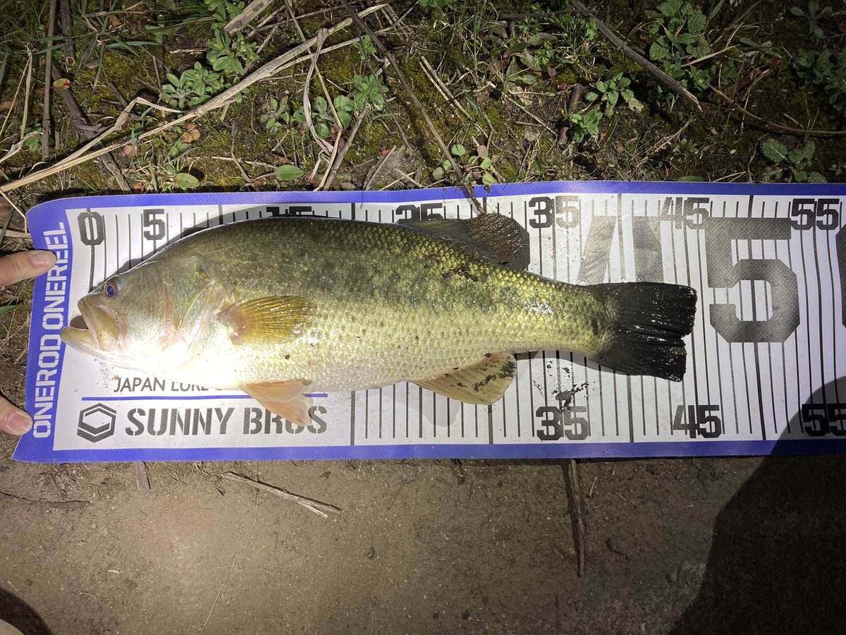 yama@SBN tweet media