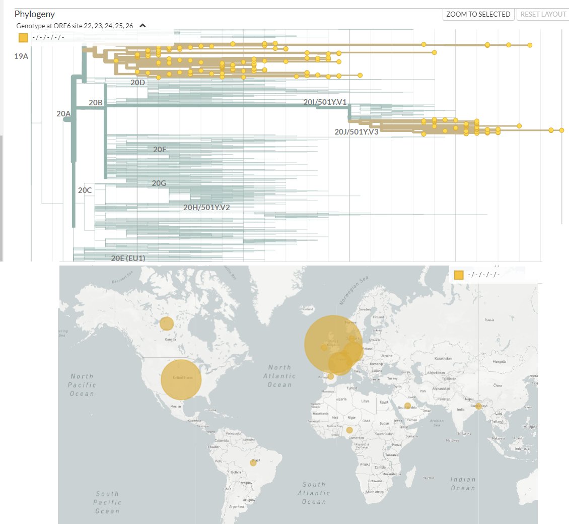 A S ヤドカリ 釣り餌にしないで下さい Zzz As Zzz توییتر