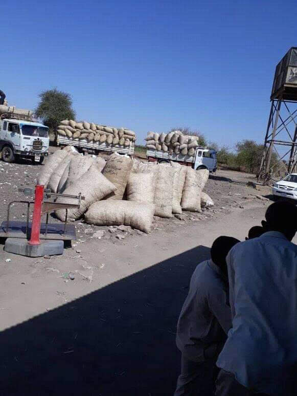سيعود وطني لموقعه الطبيعي في مد العالم بسلة غذاه وملبسه ودواءه
وستبقي كل حكاوينا هذه زكريات