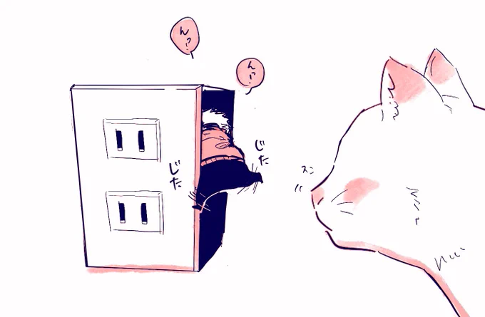 猫×虎 