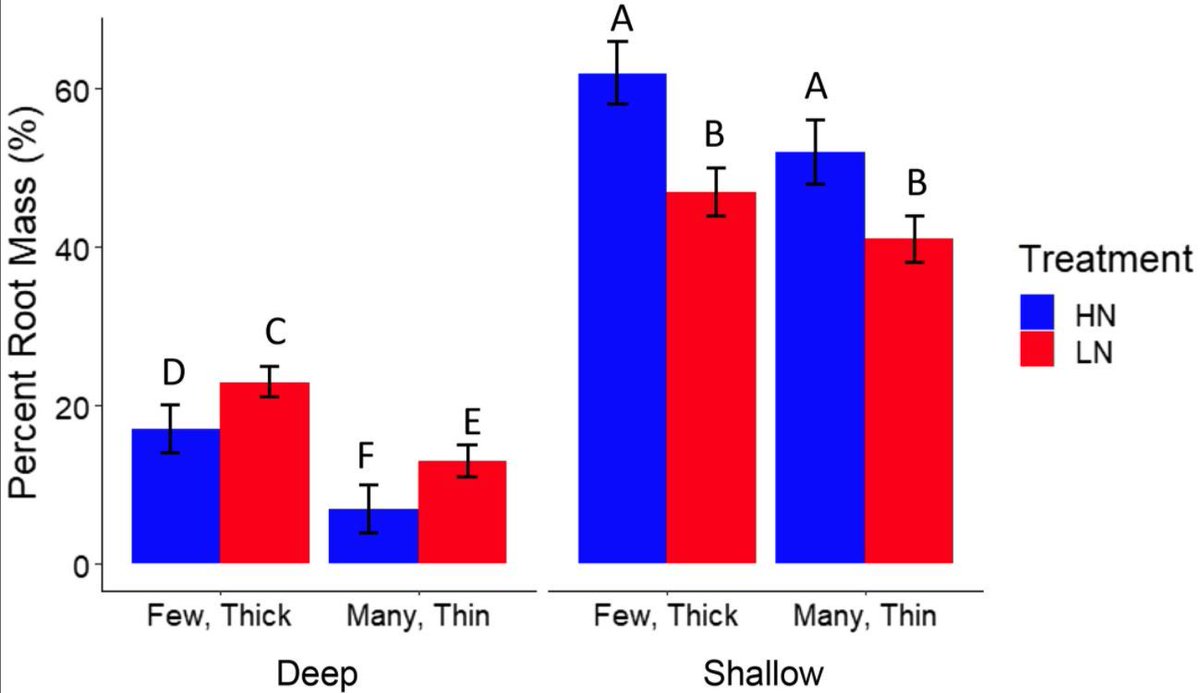 PlantDirectJ's tweet photo. Nodal root diameter and node number in maize (Zea mays L.) interact to influence plant growth under nitrogen stress #PlantSci #RootNodes @Wileyplantsci @HM_Schneider1 https://t.co/tiPCZ9XOEG https://t.co/hboES53yPc