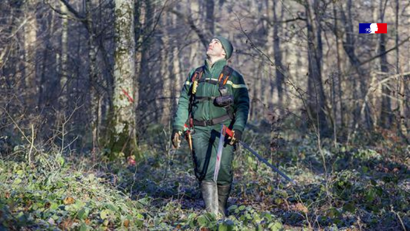 La Journée internationale des forêts permet aussi de parler des 4 missions phares des équipes de l'#ONF dans les #forêts publiques : produire du #bois, préserver l’#environnement, accueillir le public et prévenir les risques naturels.

➡ bit.ly/2OKHMpz