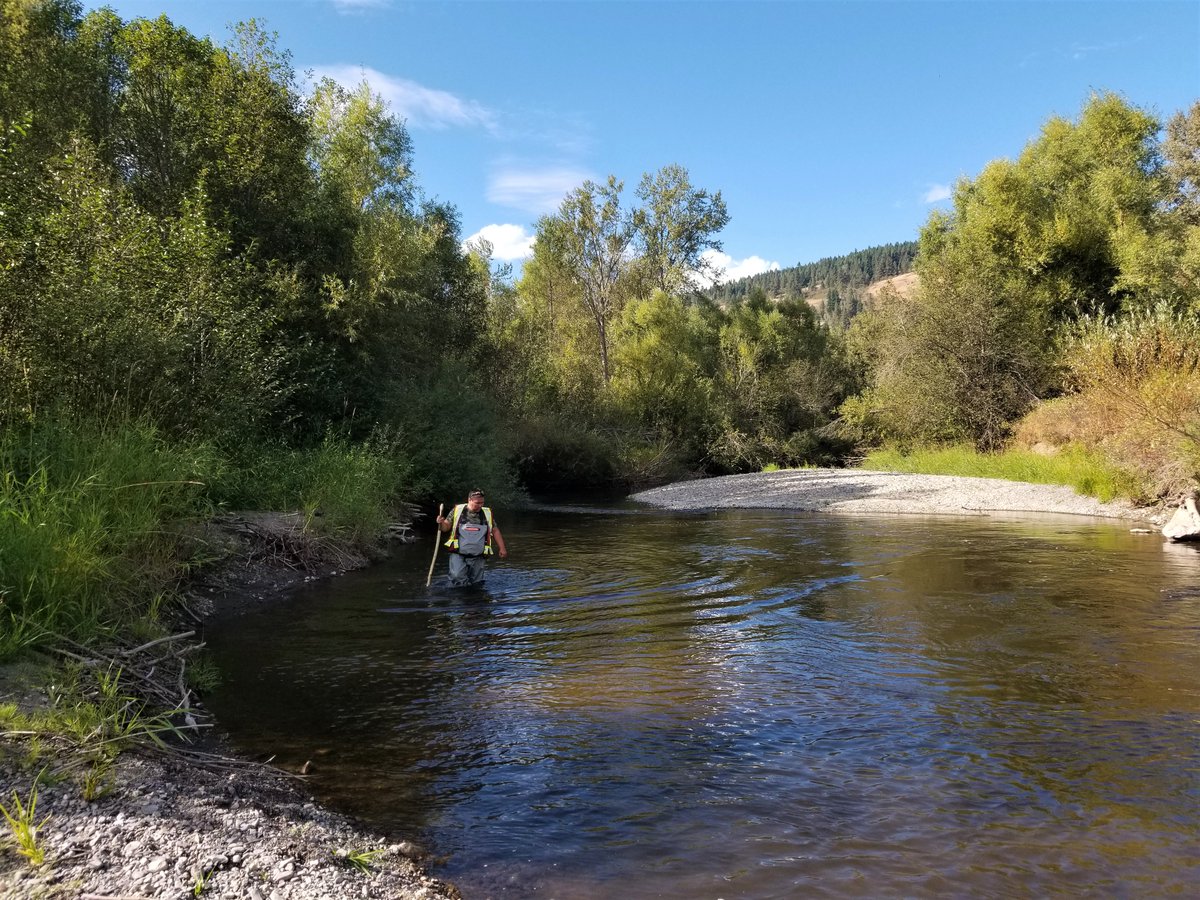 SecwepFisheries's tweet photo. We are hiring a Fisheries Technician. Join our team &amp; make a difference for salmon conservation &amp; recovery!  See  https://t.co/rYnKH3NPjD for details. Closes Apr.1 at noon PDST.

#JobOpportunity #fisheries #careerdevelopment  #ScienceJobs #NowHiring #Kamloops https://t.co/HhkbSSYo3f