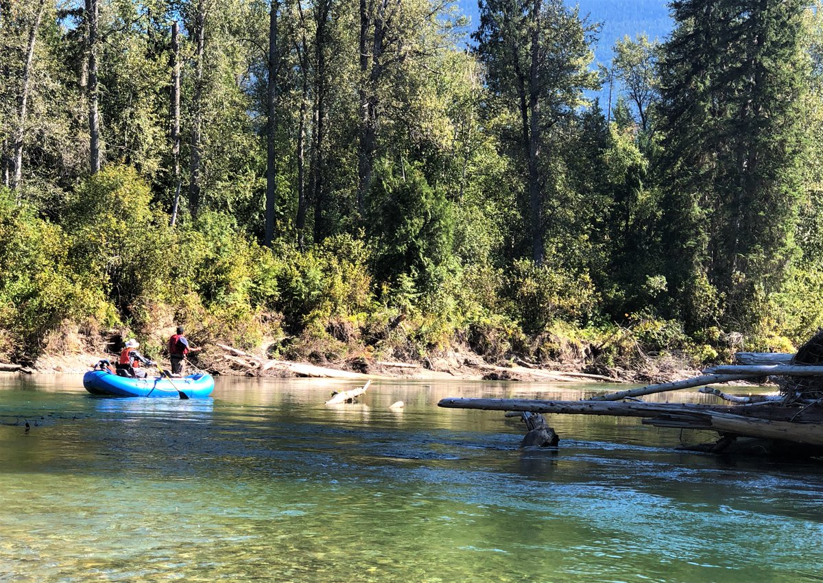 SecwepFisheries's tweet photo. We are hiring a Fisheries Technician. Join our team &amp; make a difference for salmon conservation &amp; recovery!  See  https://t.co/rYnKH3NPjD for details. Closes Apr.1 at noon PDST.

#JobOpportunity #fisheries #careerdevelopment  #ScienceJobs #NowHiring #Kamloops https://t.co/HhkbSSYo3f