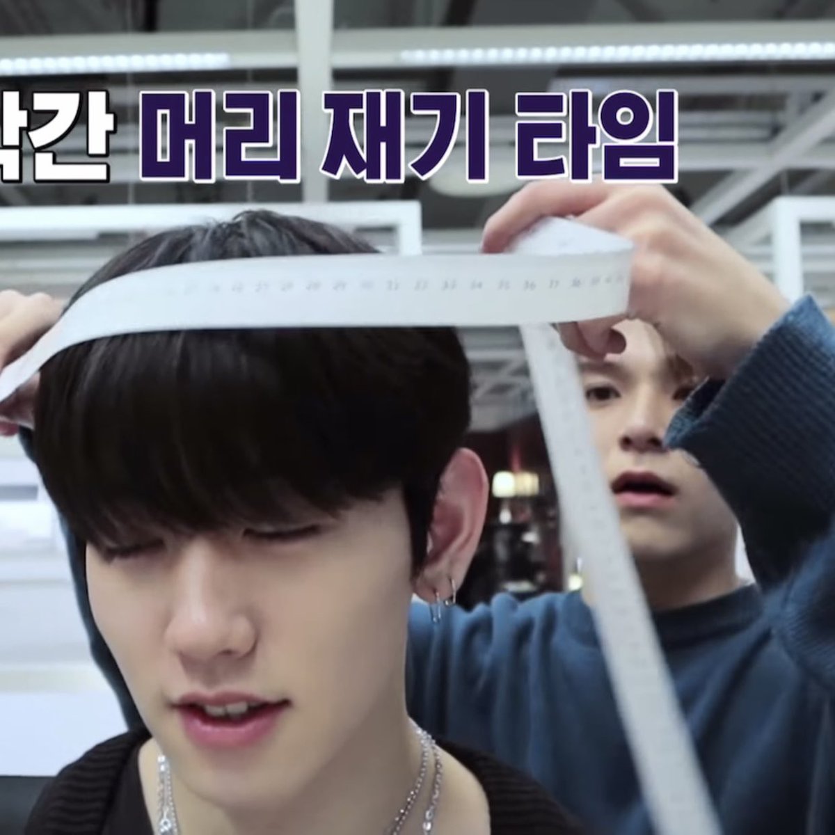 แผนกวัดทุกตารางนิ้วของน้องมาชิ รวมแล้ว 2 cmไม่เกินนี้ ทั้งคนวัดคนโดนวัด 🐱🐹🤏🏻