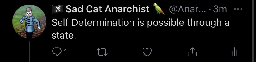 I made a typo. Self determination is not possible through the state. This is what happens when you don’t get enough sleep kids. @HornyAnarchism I’m so sorry