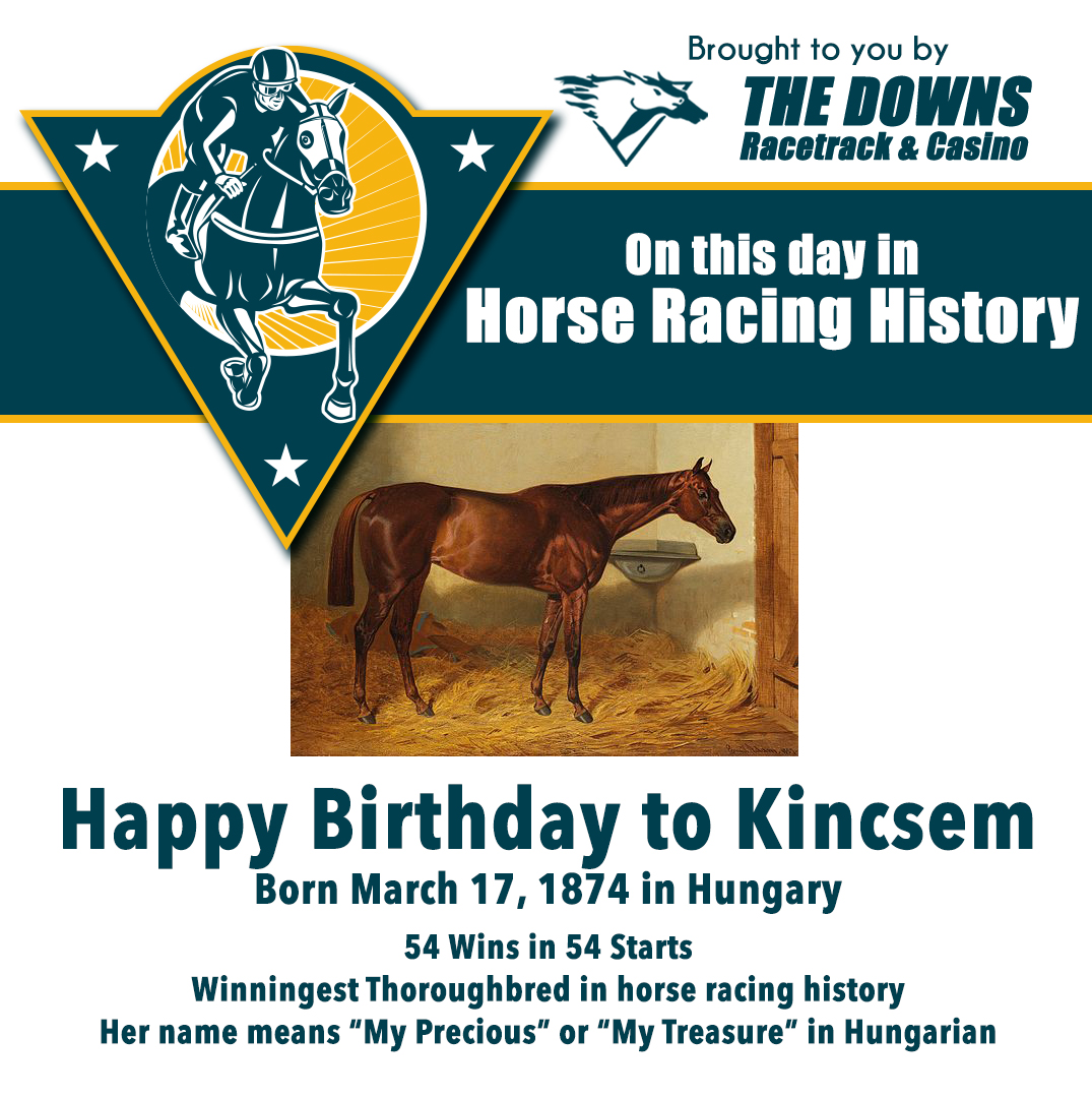 abqdowns's tweet photo. #horseracinghistory #abqdowns #abqdownsracetrack #nmhorseracing https://t.co/LPj94oM3OZ