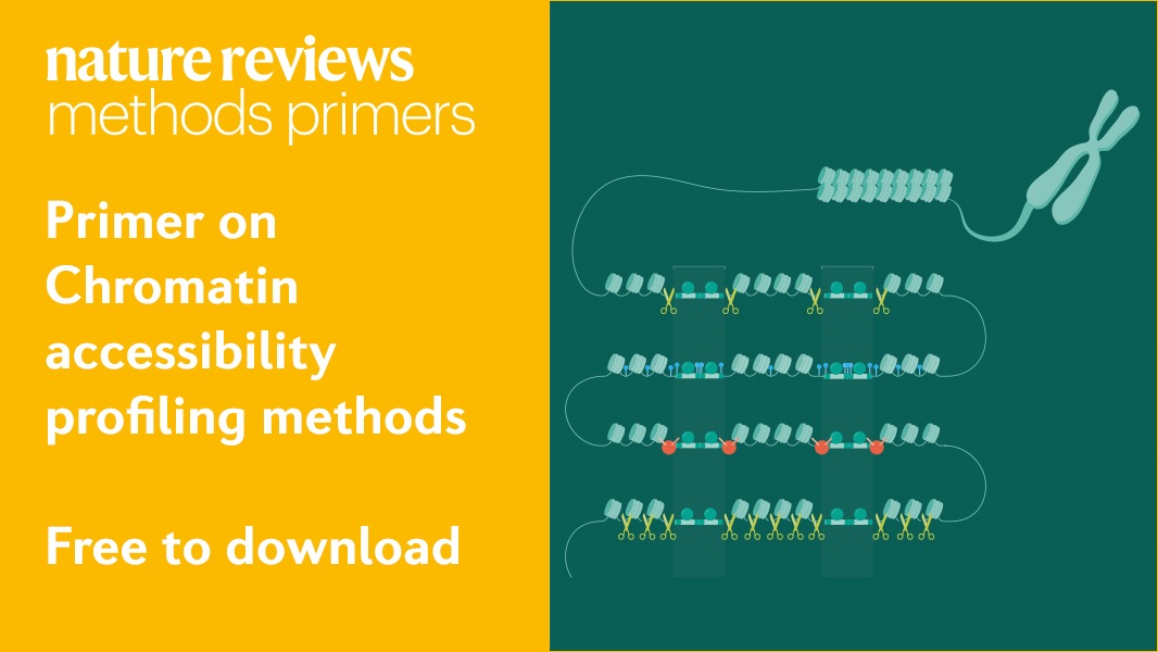 Our Primer on chromatin accessibility profiling looks at the differences in the methods used including ATAC-seq and ChIP-seq. You'll see how to use these methods from single cells all the way to whole organisms!

Free to access for 2021!  go.nature.com/2Oo8qEN