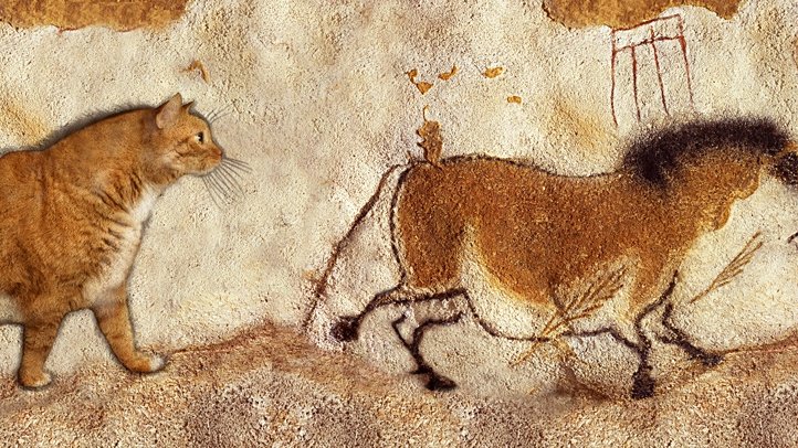 太った猫を有名絵画とコラボさせている作品がめっちゃ可愛くて眼福 ゴッホの星月夜が猫月夜に 笑 追記あり Togetter
