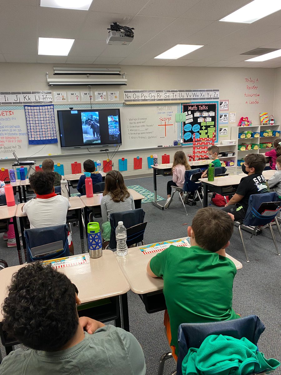 SiegelEagles's tweet photo. 2nd Grade Skyped with @zoomiami to learn about the Engineering Design Process that goes in to creating animal habitats! https://t.co/8T4zNFQmeW