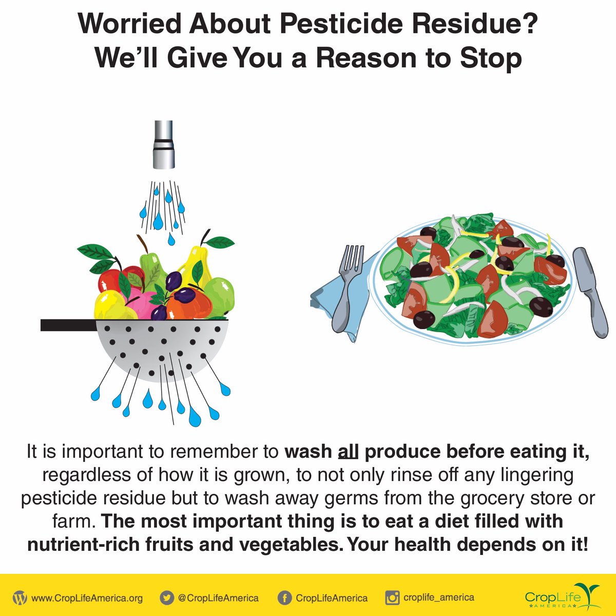 CropLife International (@croplifeintl) on Twitter photo 