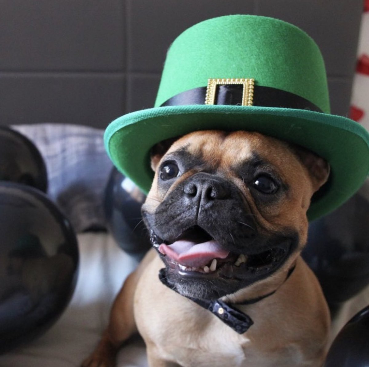 Faces Magazine (@facesottawa) on Twitter photo 🍀 CONTEST WINNER:🍀Congratulations <a href="/JBurke83/">Jaren Burke</a> you’ve won our St Patrick’s Day contest - you’ll receive $3000, plus $2000 gift cards to your fav locally owned restaurants + also $200 @cabottos <a href="/BrewRevOtt/">Brew Revolution</a> <a href="/GiovannisOttawa/">Giovanni's Ottawa</a> + weekend stay <a href="/BrookstreetOtt/">Brookstreet Hotel</a> - thx to all who entered! 🍀 CONTEST WINNER:🍀Congratulations <a href="/JBurke83/">Jaren Burke</a> you’ve won our St Patrick’s Day contest - you’ll receive $3000, plus $2000 gift cards to your fav locally owned restaurants + also $200 @cabottos <a href="/BrewRevOtt/">Brew Revolution</a> <a href="/GiovannisOttawa/">Giovanni's Ottawa</a> + weekend stay <a href="/BrookstreetOtt/">Brookstreet Hotel</a> - thx to all who entered!