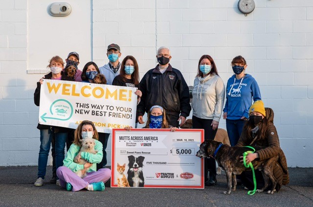 MuttNation's tweet photo. Just a few the surprise grant recipients from this year’s #MuttsAcrossAmerica initiative! Join us in continuing to lift up these incredible shelters and supporting them in finding sweet animals their furever homes! 🐾 https://t.co/eLPEK7e1zQ