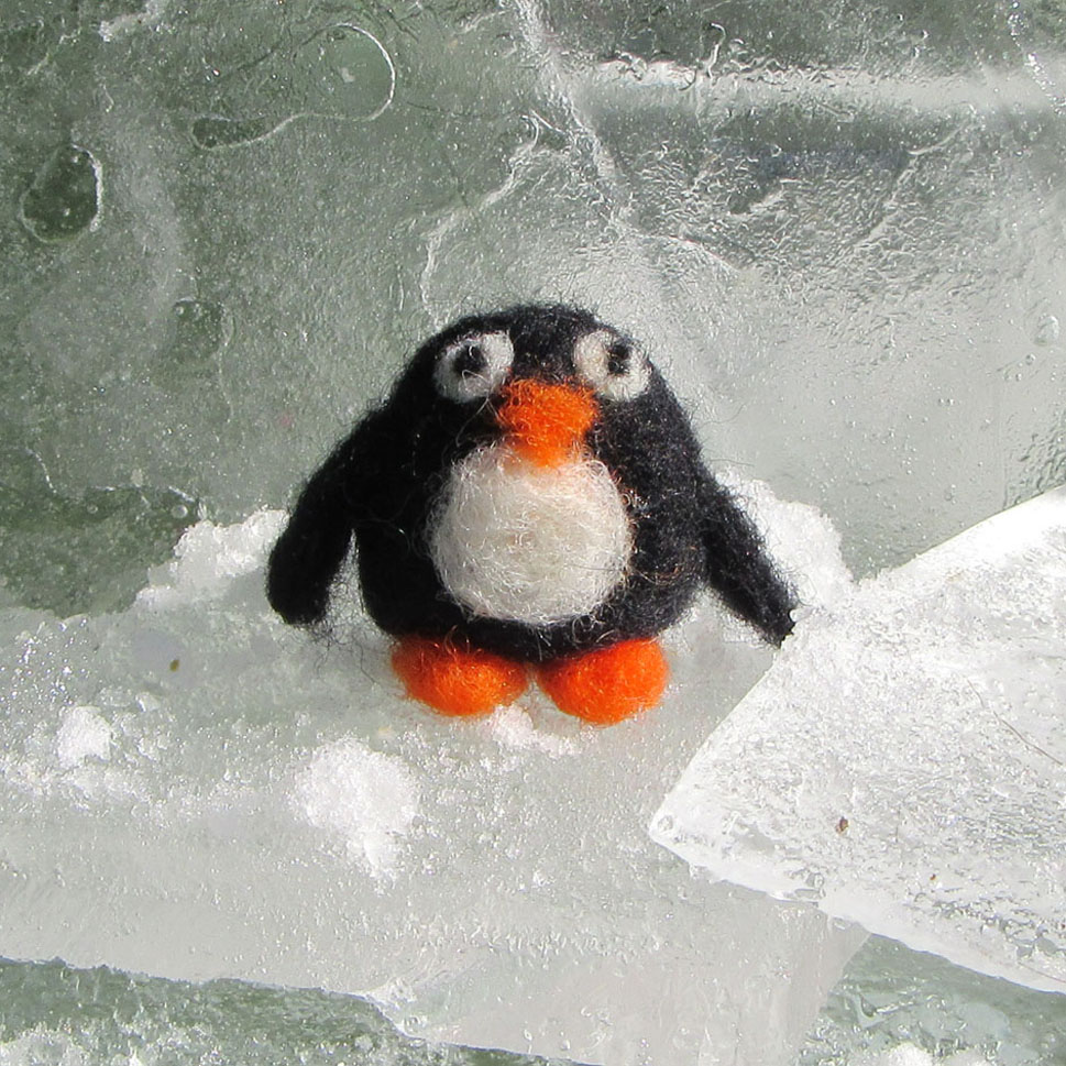 Good morning #elevenseshour  
Percy the penguin
So cute 💕
He could be yours!
#needlefelting #needlefeltingpenguin #felting #needlefeltingwool #needlework #needlefeltingartist #craft #craftkit #crafting #penguin #cute #cutepenguin  #minimakes