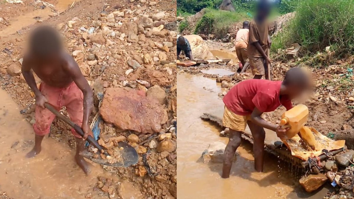 FRANCE 24 Français (@france24_fr) on Twitter photo RD Congo : le travail des enfants orpailleurs perdure en toute illégalité dans le Sud-Kivu f24.my/7TMQ.t RD Congo : le travail des enfants orpailleurs perdure en toute illégalité dans le Sud-Kivu f24.my/7TMQ.t