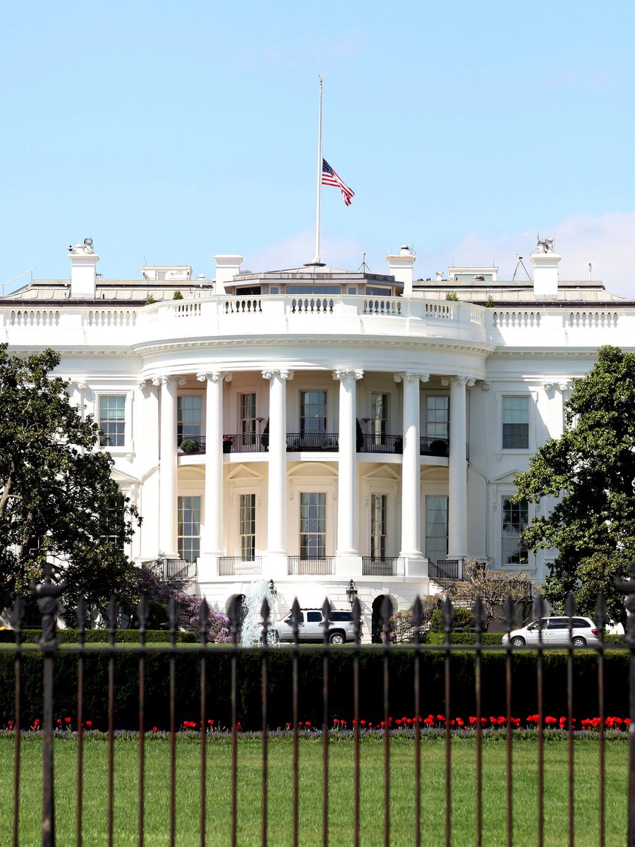 *stimmy hits*
Us: how much for the house?