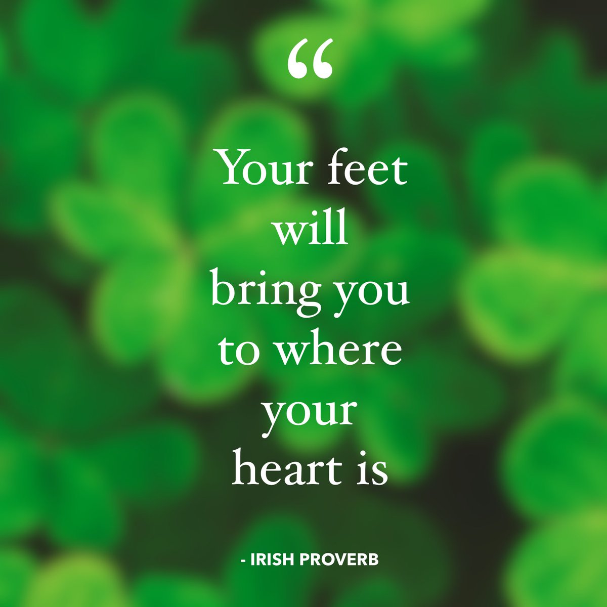 School leaders, know this. 🍀

Your soul knows your vision.
Your heart knows your path.
Your mind knows your answers.
And your feet know your way.

#theempoweredprincipal #theempoweredprincipalpodcast