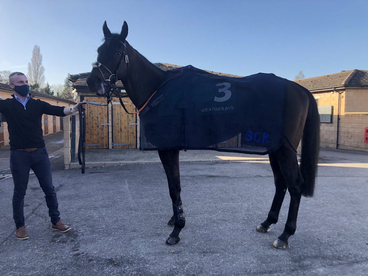 Creggan White Hare all suited and booted for the 4:50 Champion Bumper at #CheltenhamFestival 

😜