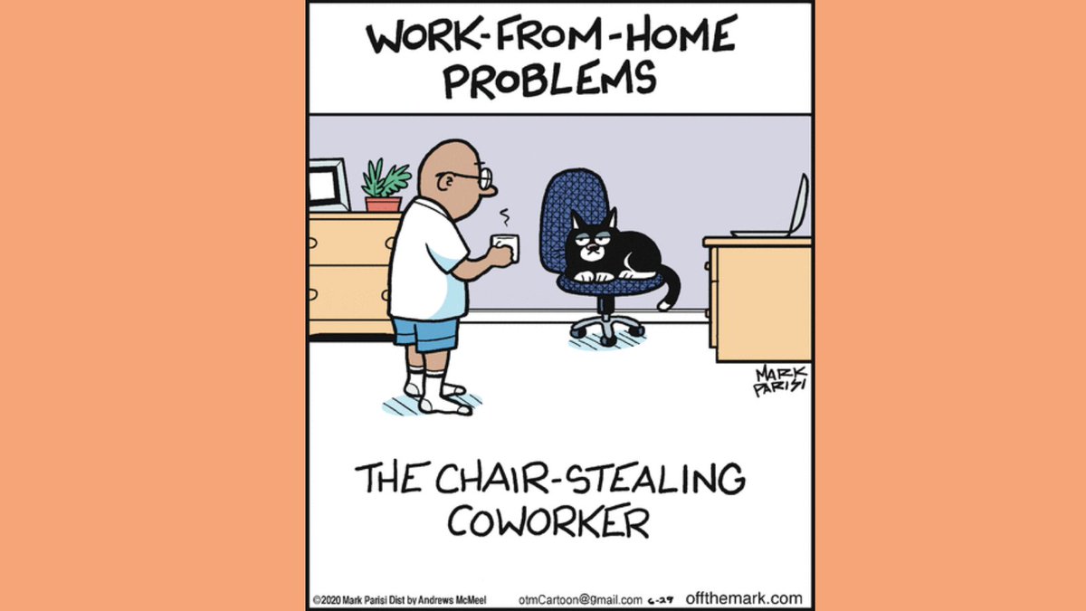 stphni_ubms's tweet photo. WORK-FROM-HOME-PROBLEMS! Art by: 
@OffTheMarkComic

#workfromhome #offthemark #MarkParisi #pinterest #thechairstealingcoworker https://t.co/stlQcdVw1z