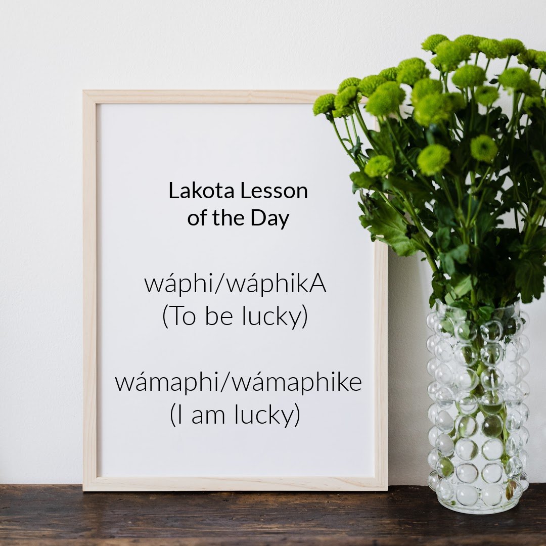 TankaBar's tweet photo. Lakota Lesson of the Day
Thanks to the Lakota Immersion School on the Pine Ridge Indian Reservation for this interpretation! Incidentally, there is no Lakota word for "luck."
#lakotalanguage #goodluck https://t.co/mfzLzIMBMs