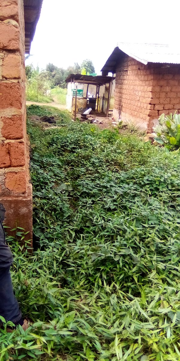 SolutionStanda3's tweet image. Dschang Cameroun.
Terrain à vendre.
Lieu :
Foreke vers le lycée bilingue de nzinminth 
Superficie : 157m2
Prix : 2.500.000fcfa

NB : pas de titre foncier
Ici c'est la solution
Siège social : carrefour Albert Camus dschang
solutionstandardcamerounssc@gmail.com 674349188/697666555/