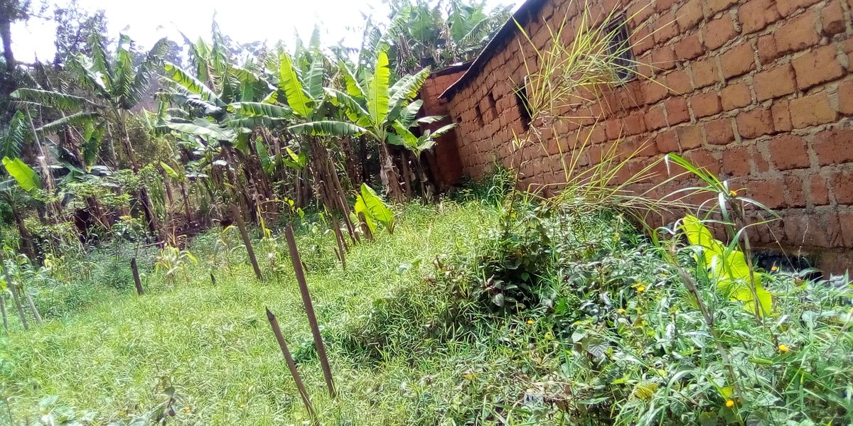 SolutionStanda3's tweet image. Dschang Cameroun.
Terrain à vendre.
Lieu :
Foreke vers le lycée bilingue de nzinminth 
Superficie : 157m2
Prix : 2.500.000fcfa

NB : pas de titre foncier
Ici c'est la solution
Siège social : carrefour Albert Camus dschang
solutionstandardcamerounssc@gmail.com 674349188/697666555/