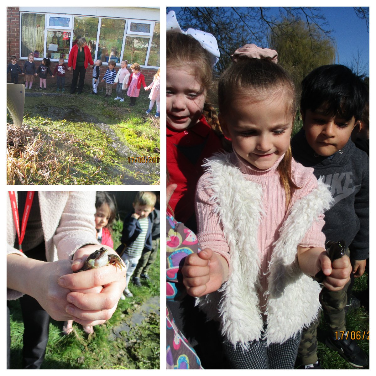 Shelton Infants tweet media