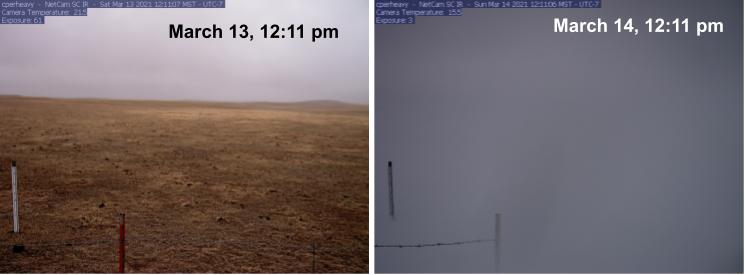 Many grasslands across the front range got some much needed snow this weekend to break a winter #DroughtOnTheRange. Might just be the most important precipitation event of 2021! #RanchingUnderDrought. Many thanks to @PhenoCam and for these pics.