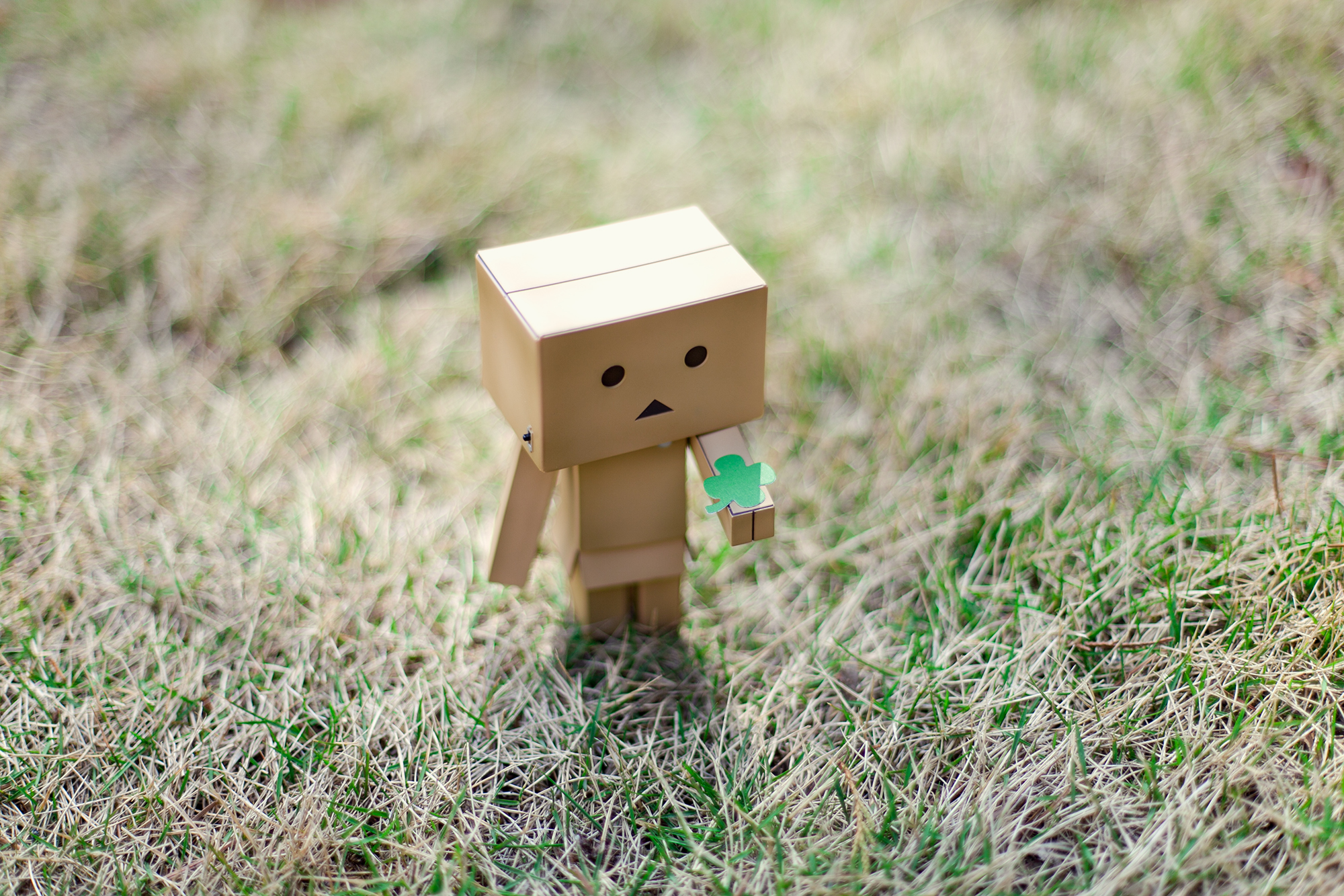 Arielle Nadel Happy St Patrick S Day Danbo Danboard ダンボー T Co Eigm8dapji Twitter Arielle Nadel Happy St Patrick S Day Danbo Danboard ダンボー T Co Eigm8dapji Twitter