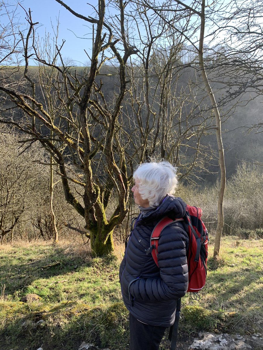 JoSmithDWT's tweet image. What a glorious afternoon to choose to have a walk and talk meeting outside! #PureLuck #WildWellbeing #StopZooming  ☀️