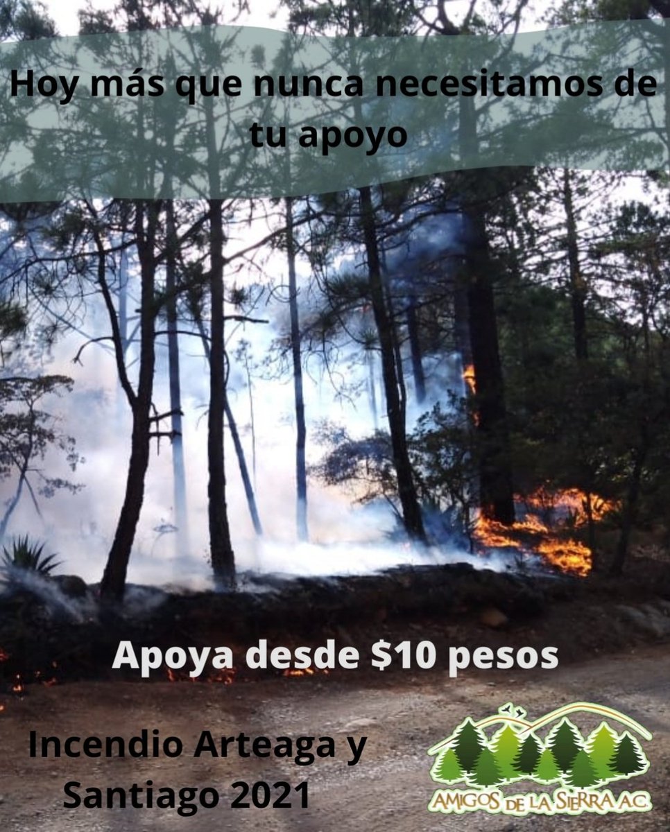danaapp5's tweet photo. 🚨⚠️ Incendio en la Sierra de Santiago y Arteaga⚠️🚨
Ayudanos a traves de Dana, ahora mas que nunca se necesita tu apoyo para comprar viveres y equipo a los brigadistas antiincendios de *Amigos de la Sierra AC* 👩🏻‍🚒👨🏻‍🚒🌲🔥  *Comparte y Dona*
https://t.co/eNZtyH2feT https://t.co/ncN5QevwLj