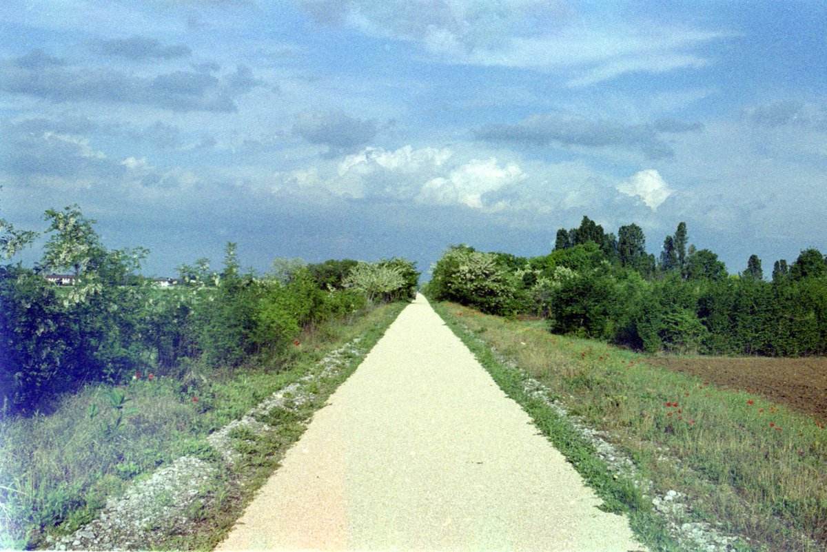 What kind of spring is it going to be?
.
📷 Pentax ME Super
🎞️ Kodak Gold 100
.
#analogueposse
#filmaddicts
#Filmphotography
#shootfilm
#shootfilmmag
#moderndayanalogue
#pellicolamag 
#filmphotomag 
#filmdiscovered